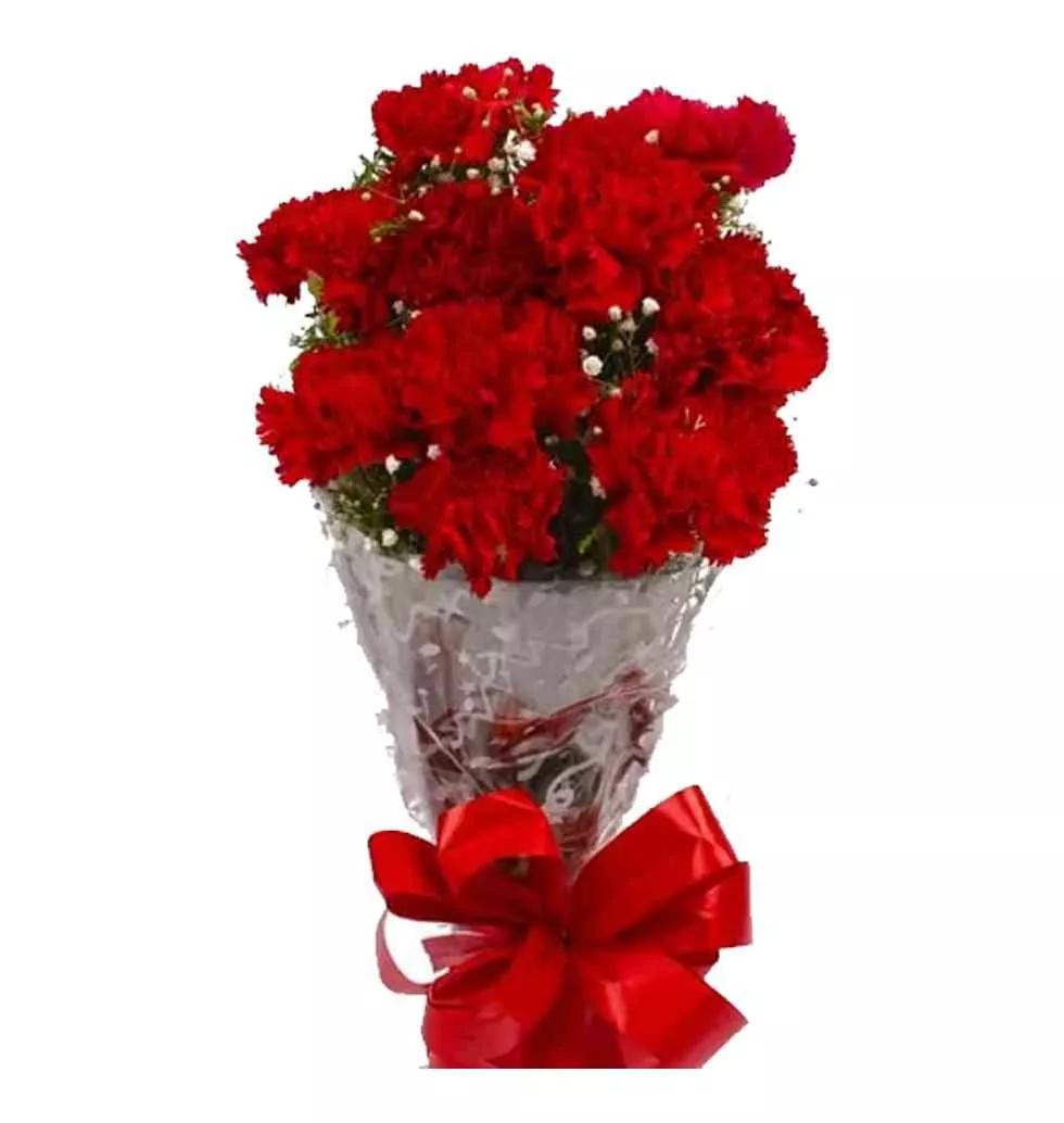 Radiant Red Love Carnations