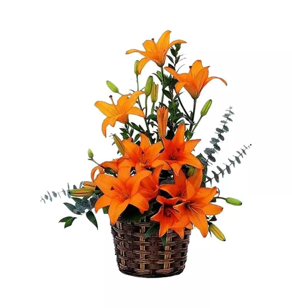 Radiant Lilies Delight Basket