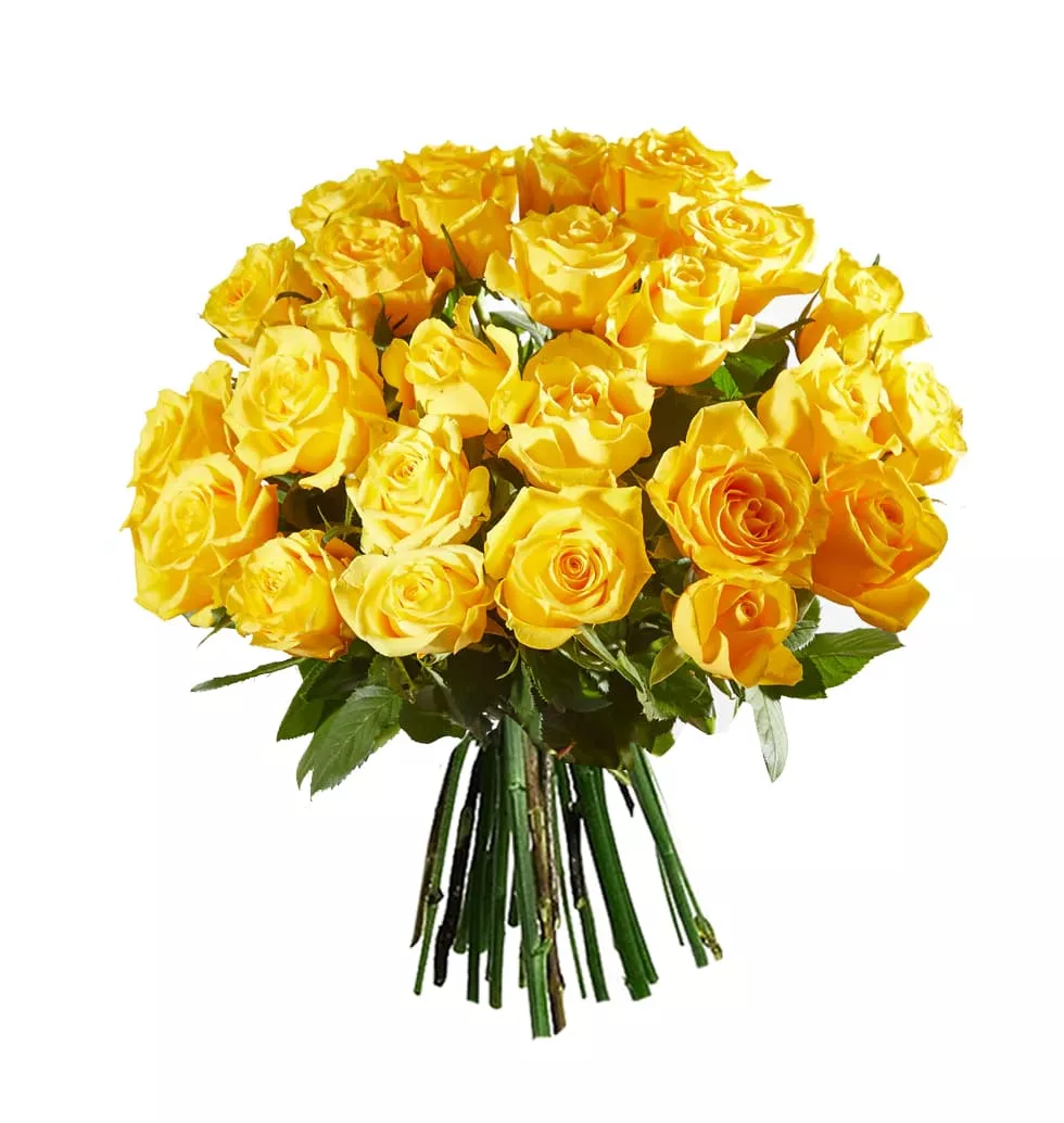 Sunshine Delight Roses