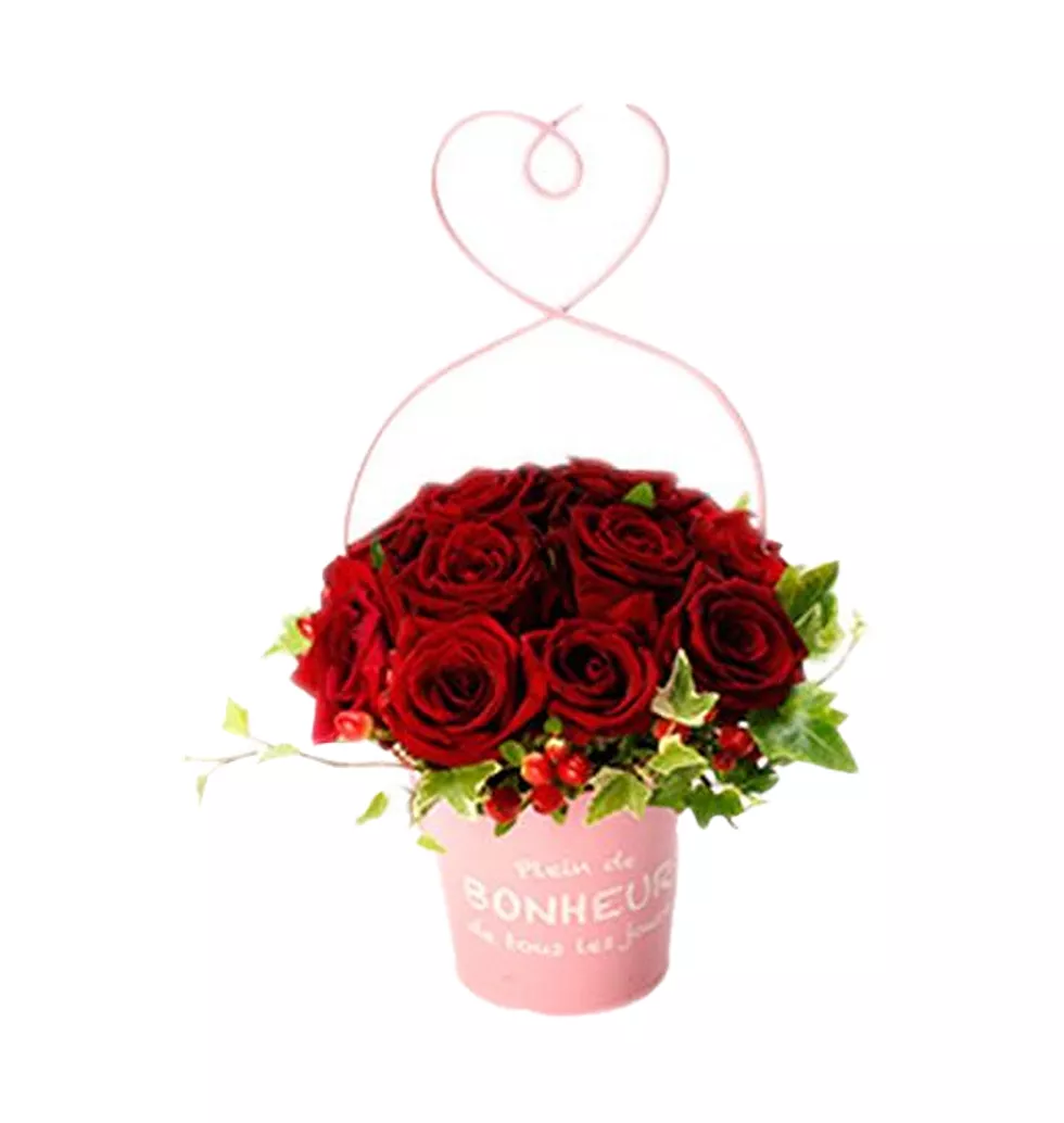 Vibrant Red Rose Pot Arrangement