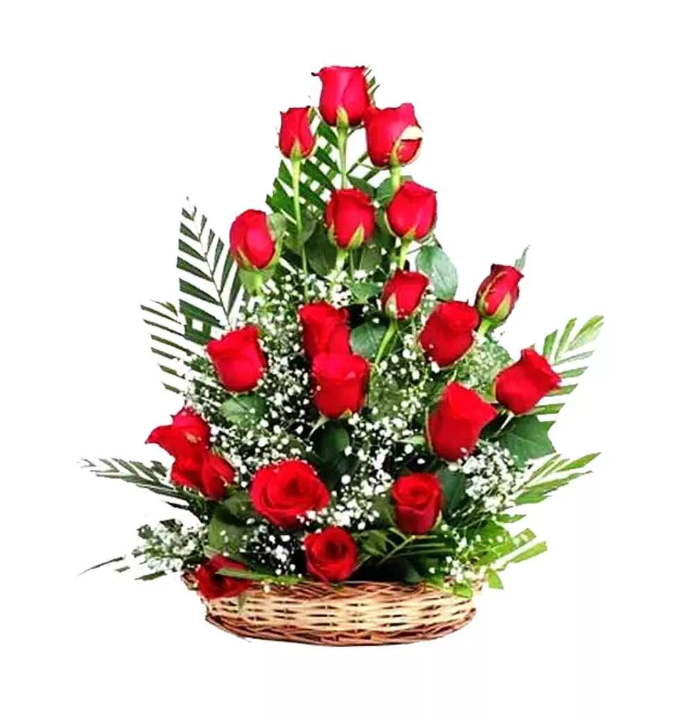 Beautiful Rose Explosion of 18 Red Roses